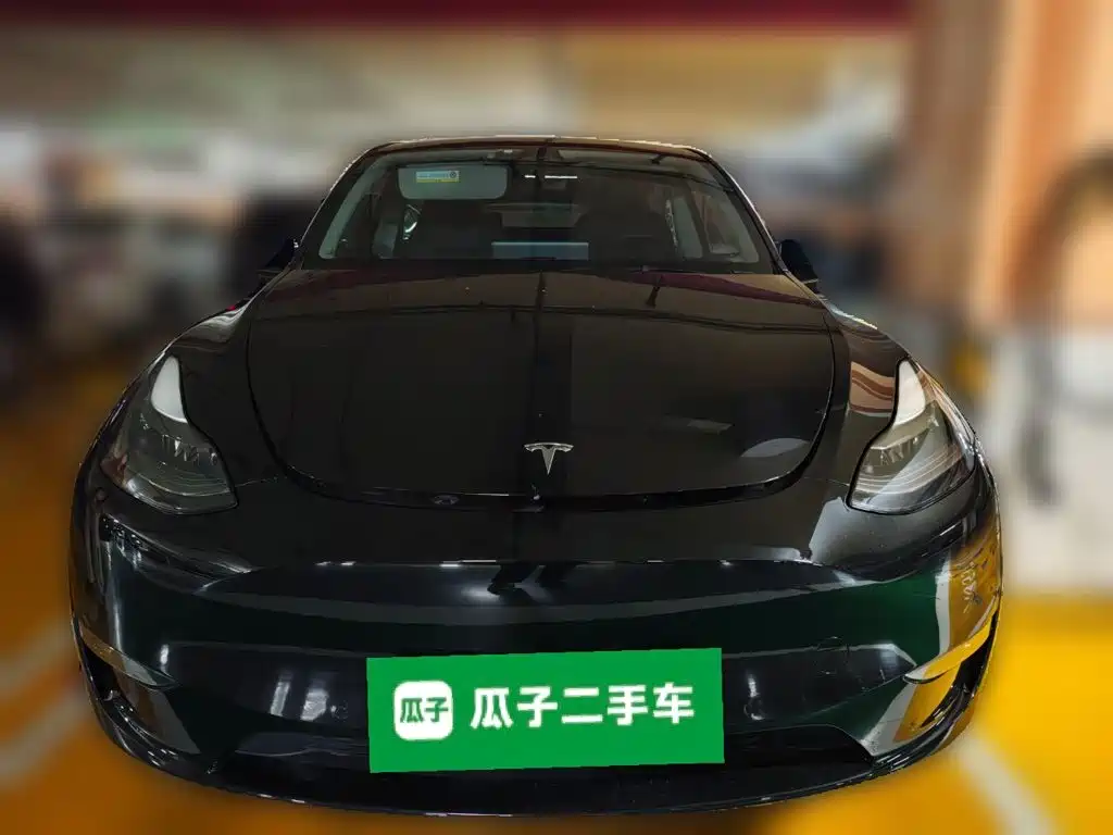 Tesla Model Y — миниатюра 2