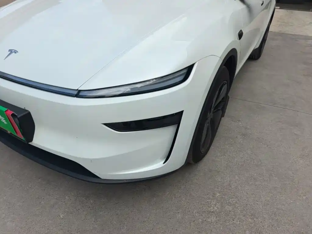 Tesla Model Y — миниатюра 24