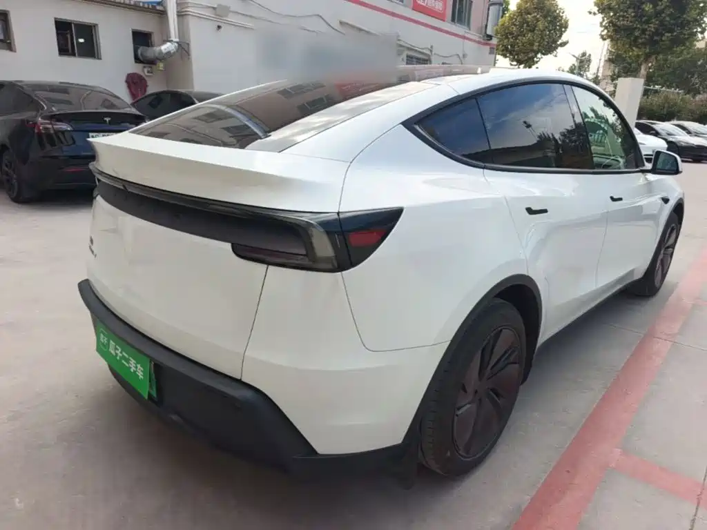 Tesla Model Y — миниатюра 7