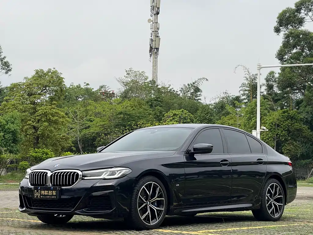 BMW 5 Series (Import) 2021