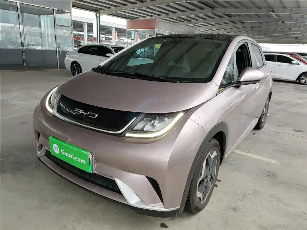 Byd Dolphin 2022