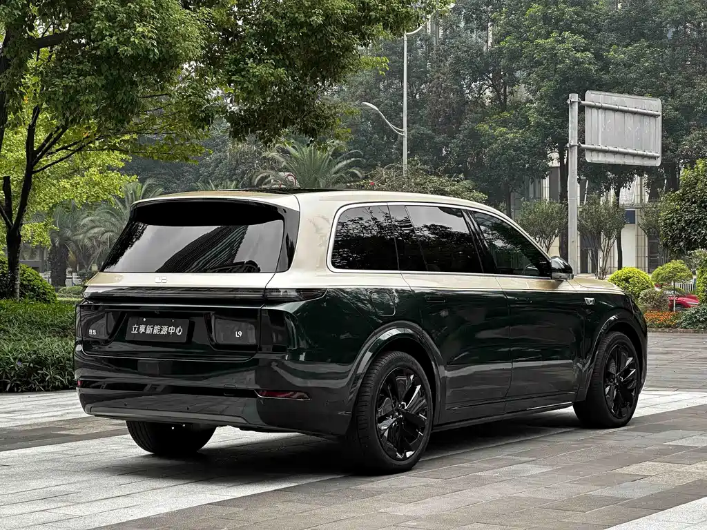 Li Auto Li L9 — миниатюра 6