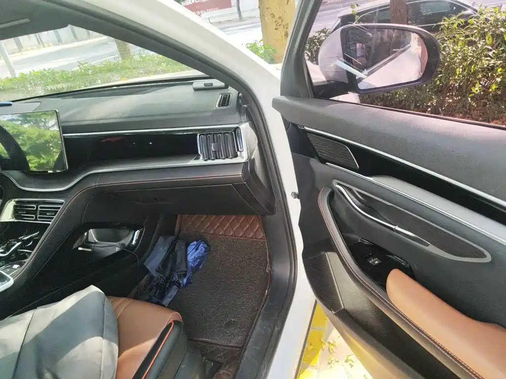 BYD PLUS — миниатюра 19