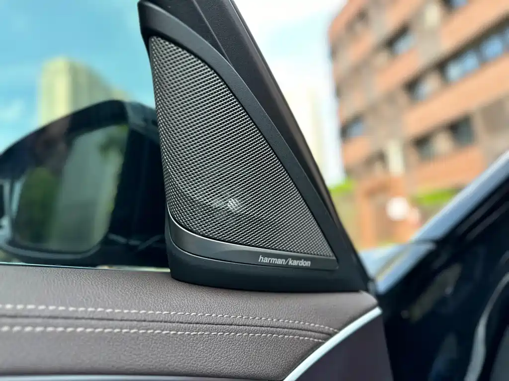 BMW 5 Series 5 2022 530Li Lead Luxury