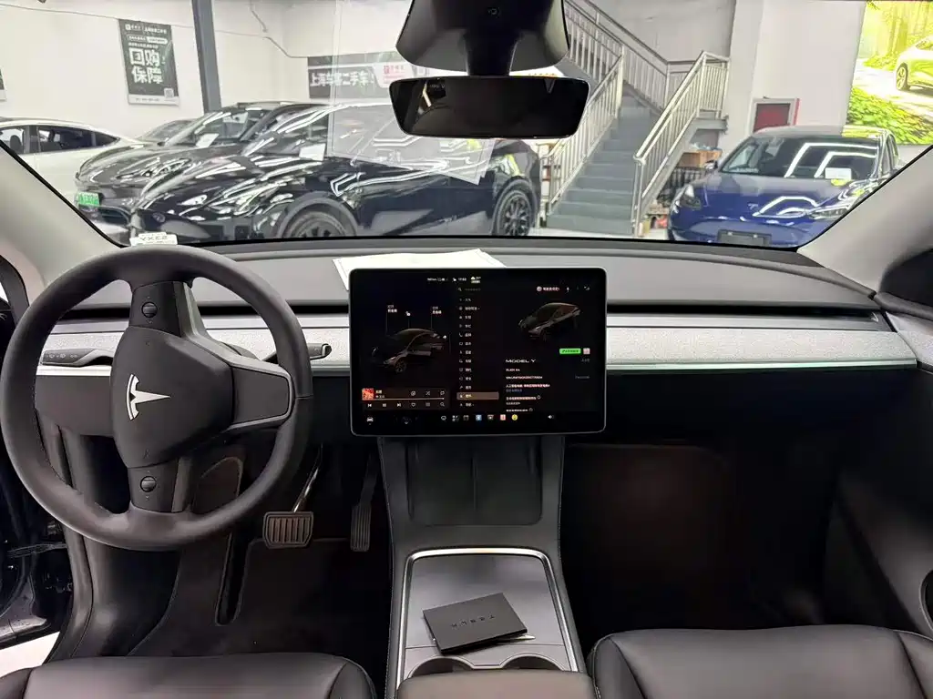 Tesla Model Y — миниатюра 6