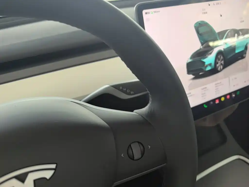 Tesla Model Y — миниатюра 14