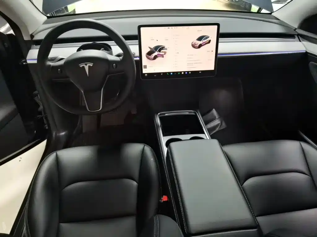 Tesla Model Y — миниатюра 10