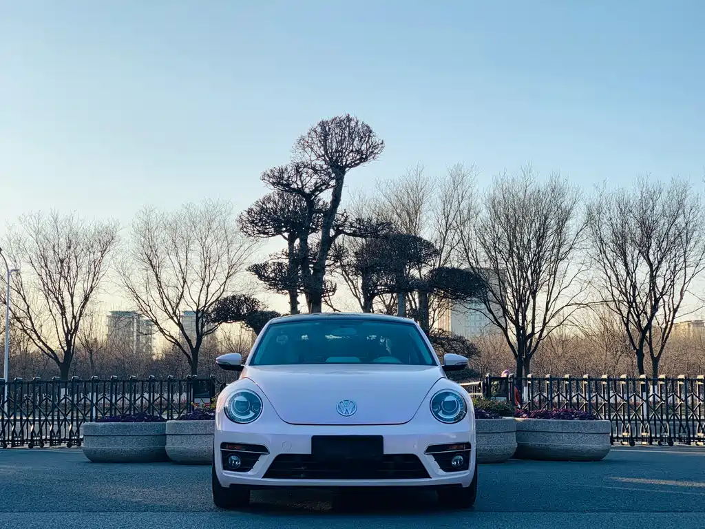 Volkswagen Beetle 2016