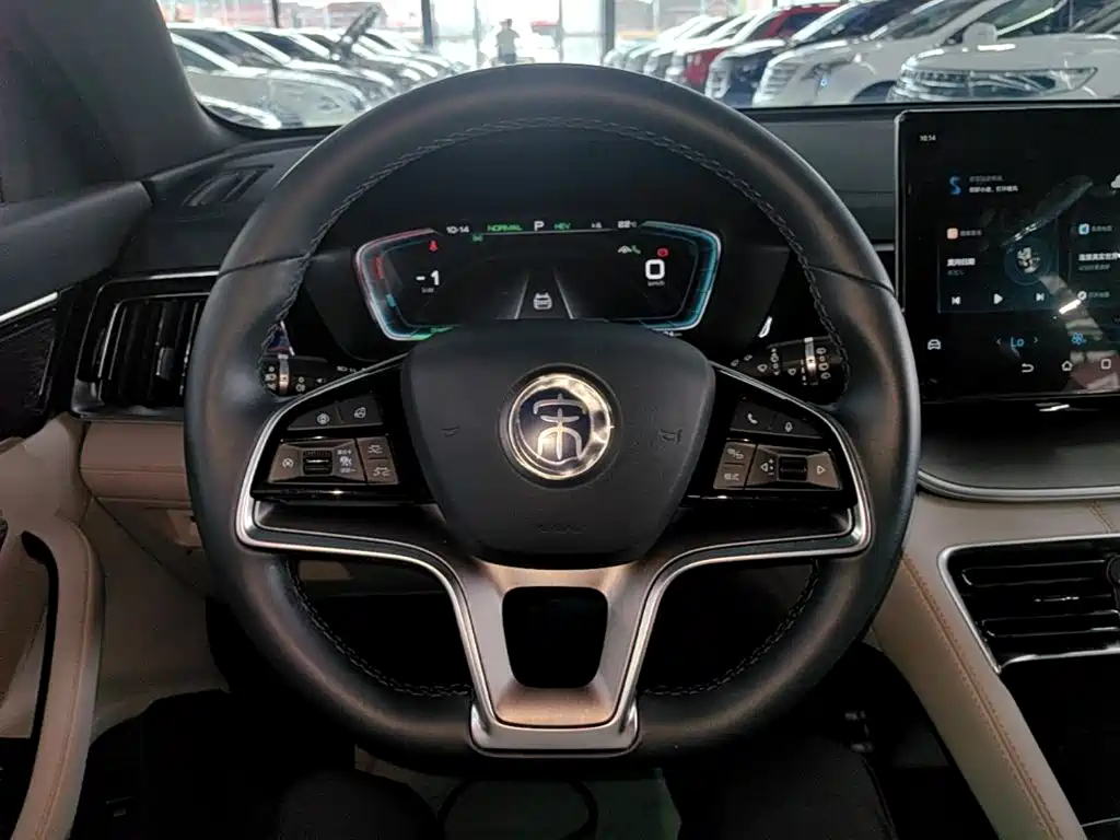 BYD PLUS New Energy — миниатюра 11