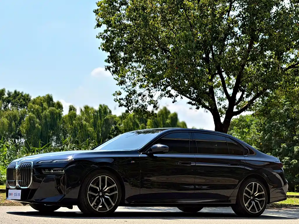 BMW 7 Series — миниатюра 20