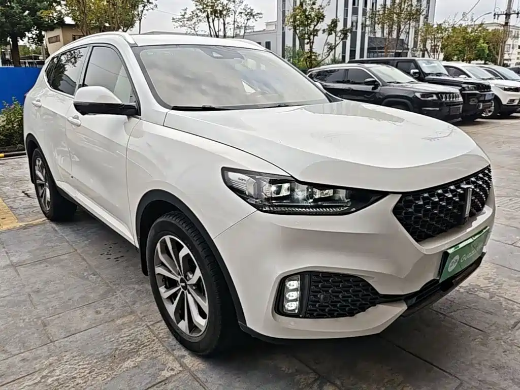 Wey Wey VV6 — миниатюра 4
