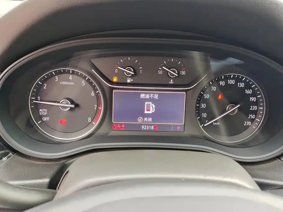 Buick Regal — миниатюра 14