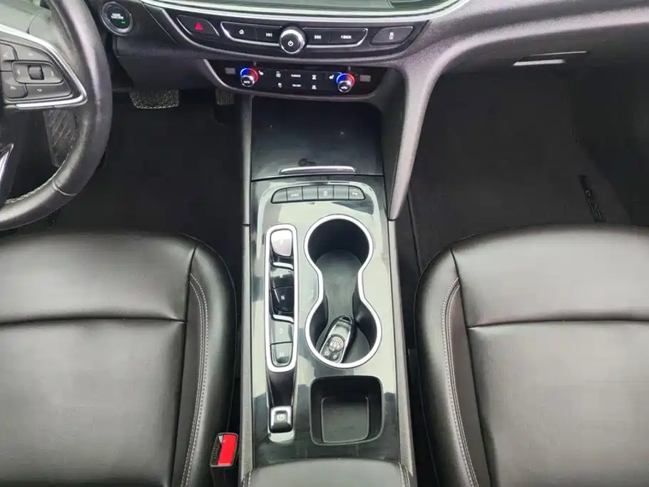 Buick Regal — миниатюра 16