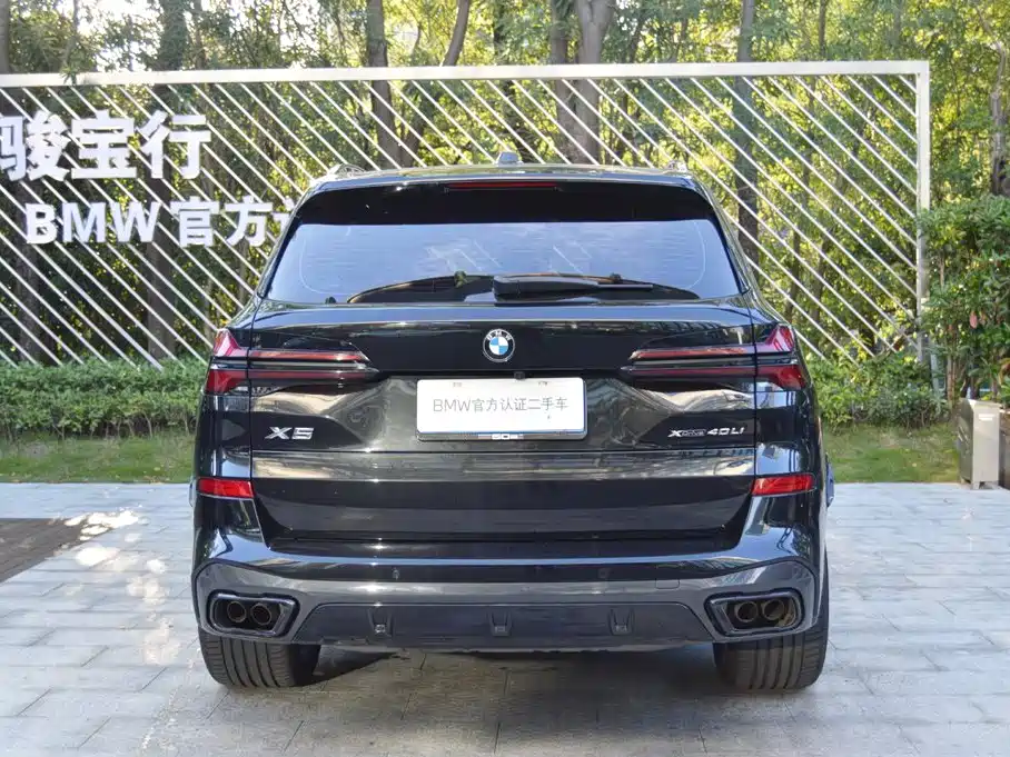 BMW X5 — миниатюра 3