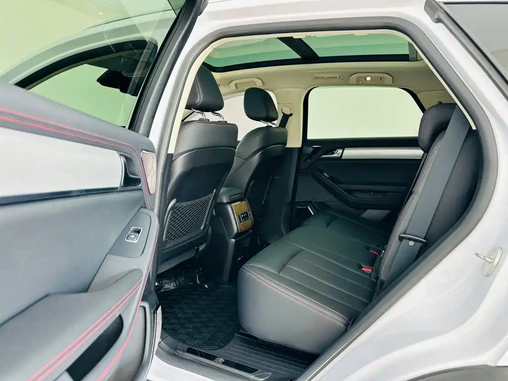 BYD Tang New Energy — миниатюра 14