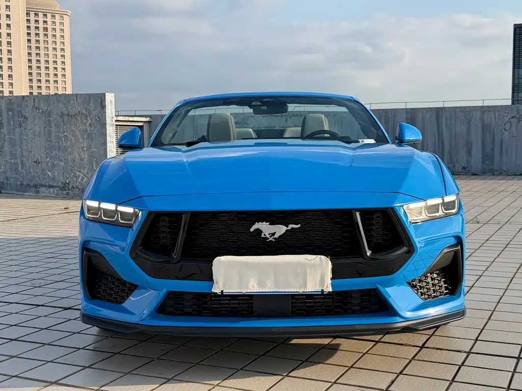 Ford Mustang — миниатюра 2