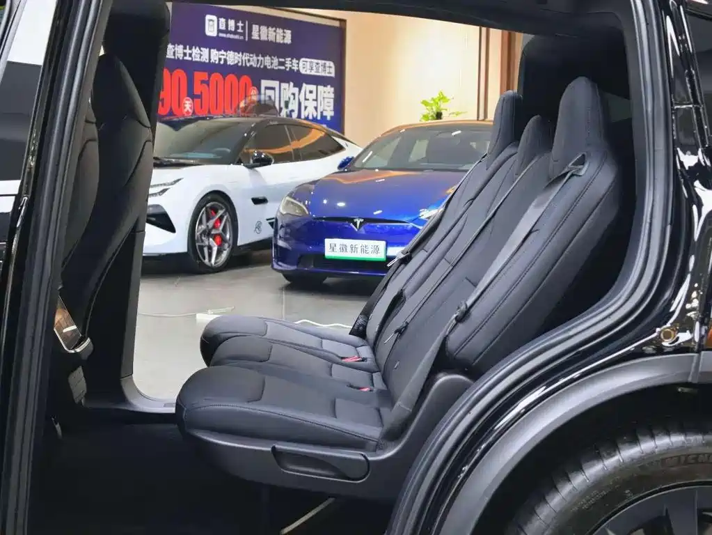 Tesla Model X — миниатюра 7