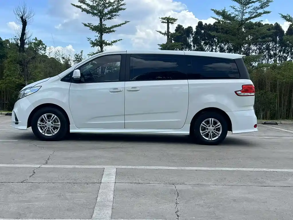 SAIC MAXUS CHASE G10