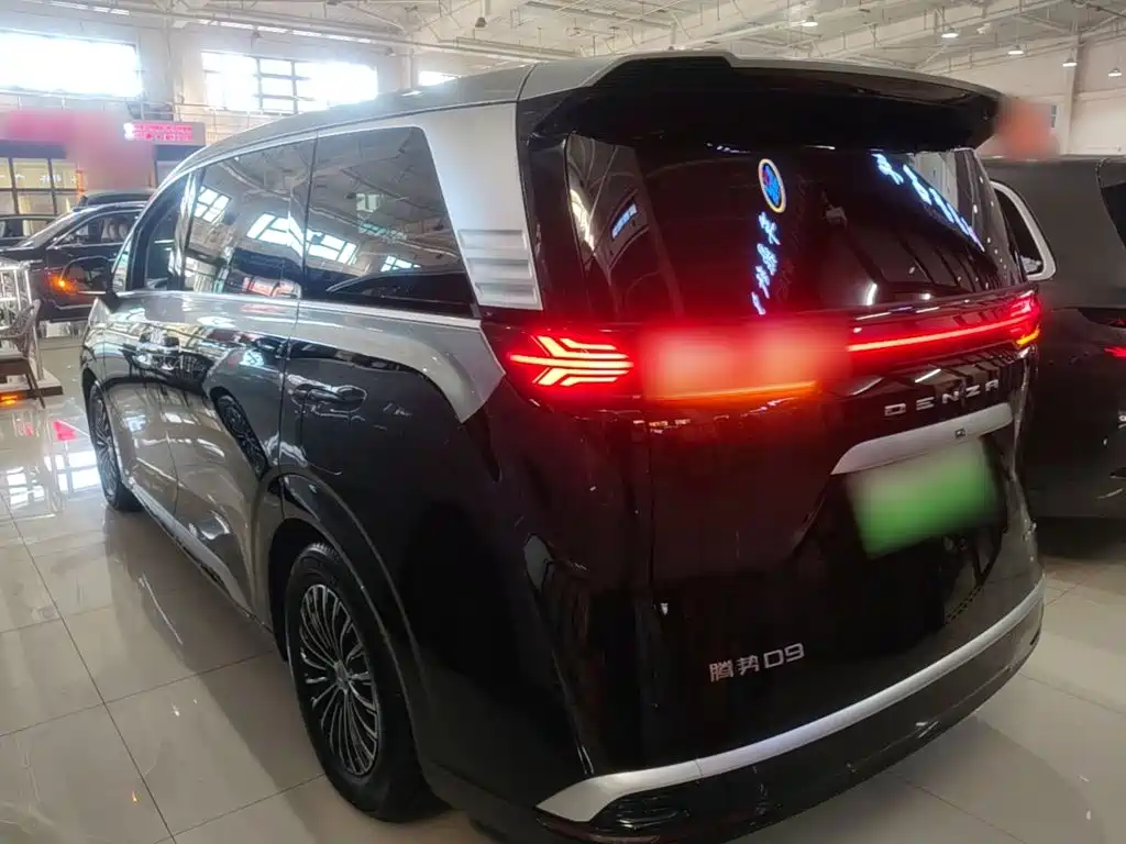 Denza Denza D9 — миниатюра 5