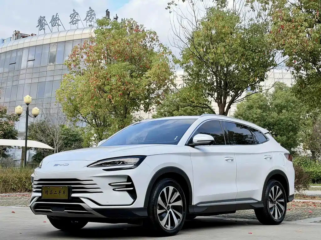 BYD PLUS New Energy