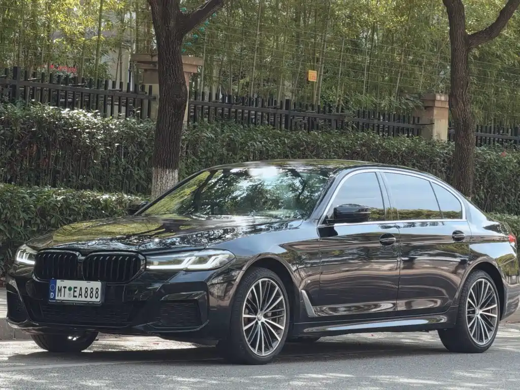 BMW 5 SERIES