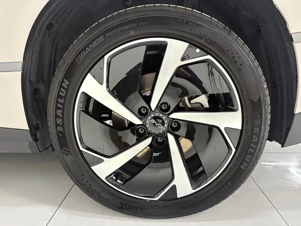 BYD SEA LION 06 NEW ENERGY