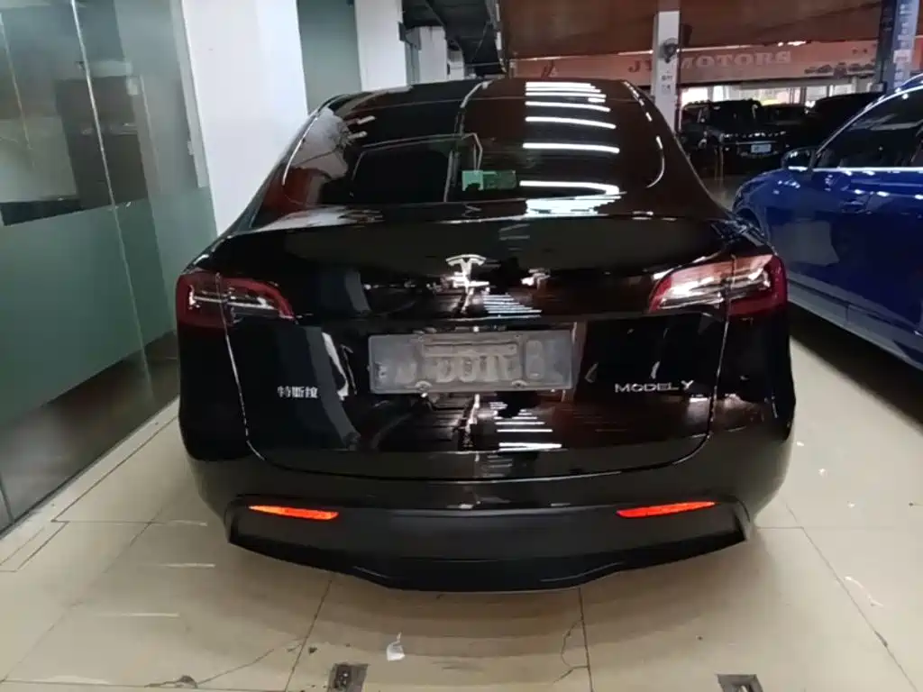 Tesla Model Y — миниатюра 6