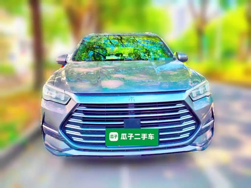 BYD Pro — миниатюра 23