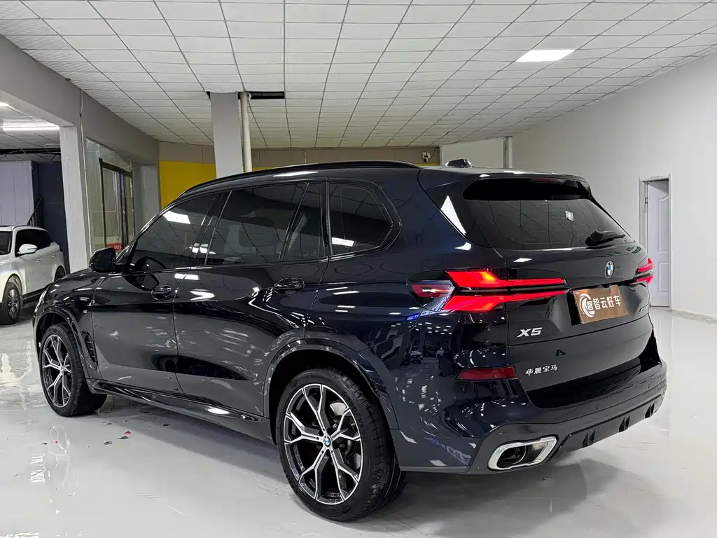 BMW X5 — миниатюра 7