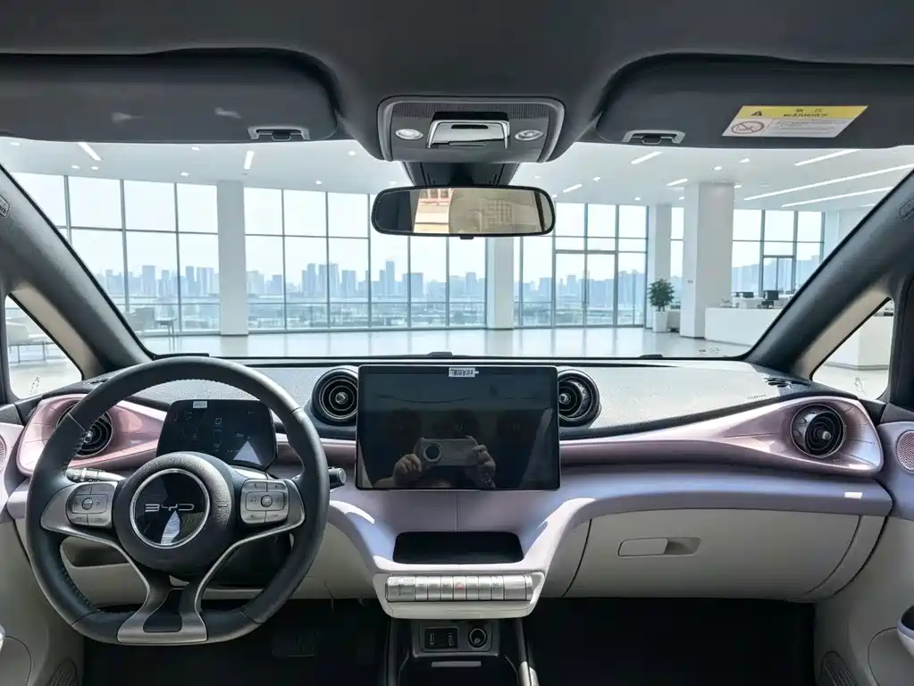BYD Dolphin — миниатюра 9