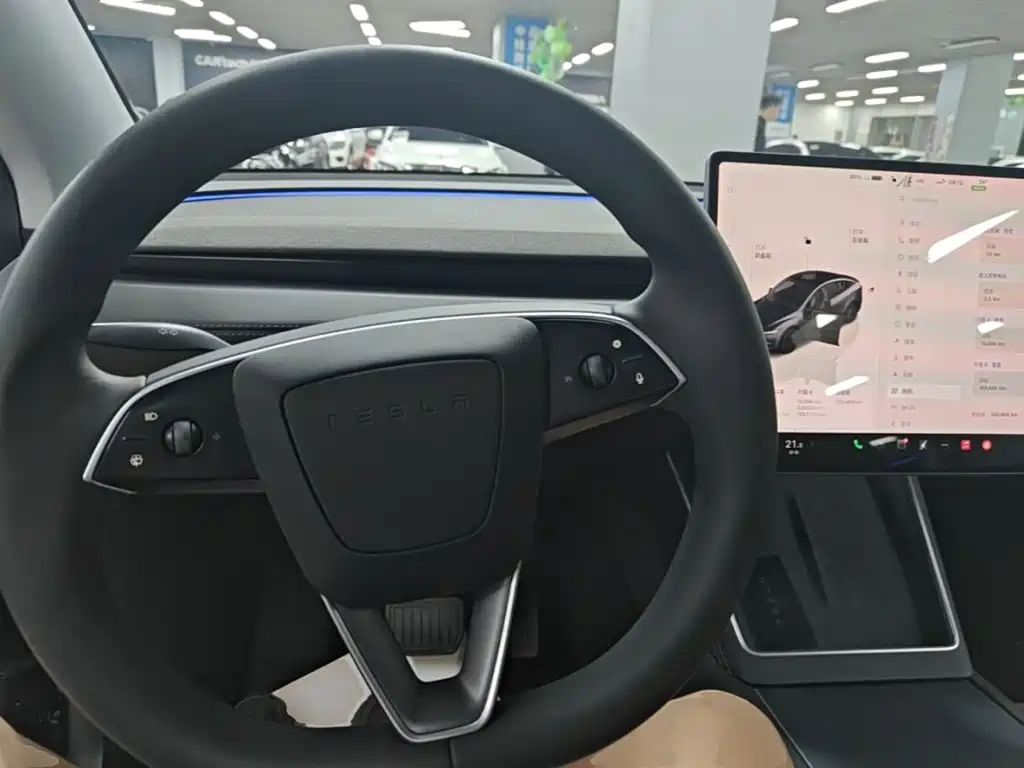 Tesla Model Y — миниатюра 11