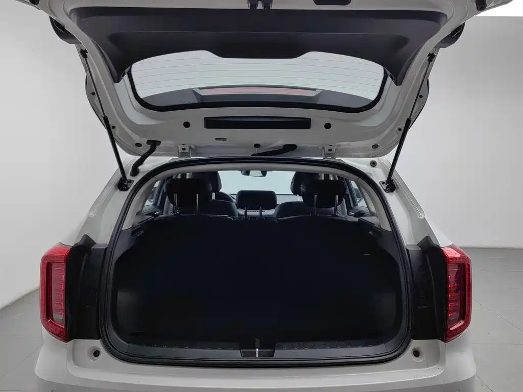 Haval Chulian — миниатюра 16