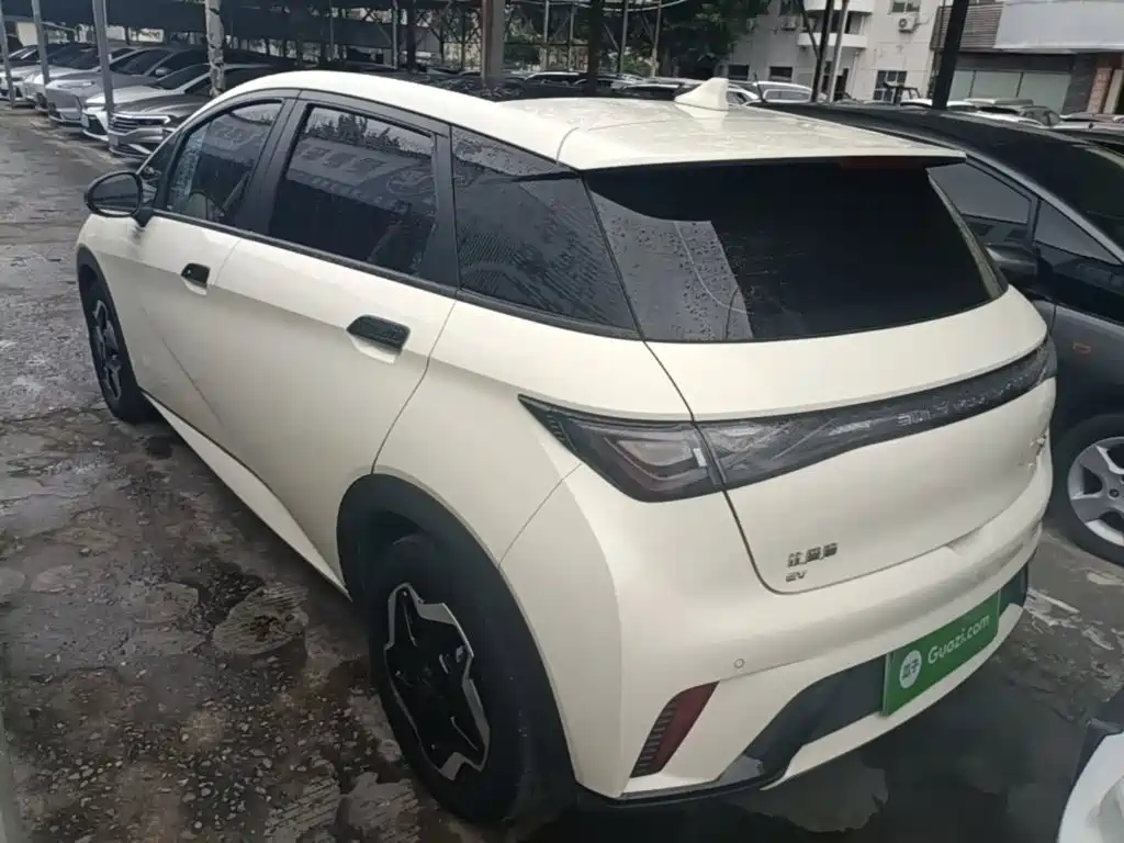 BYD Dolphin — миниатюра 5