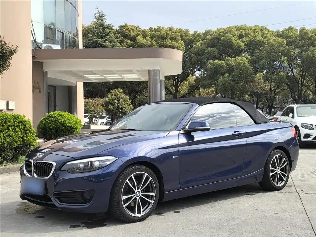 BMW 2 Series (Import) 2017