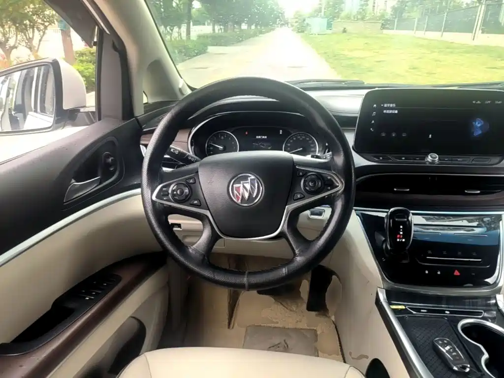Buick GL8 — миниатюра 11