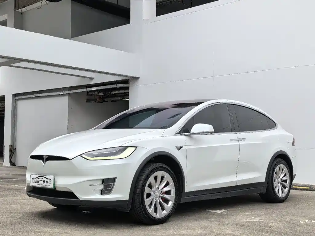 Tesla Model X 2019