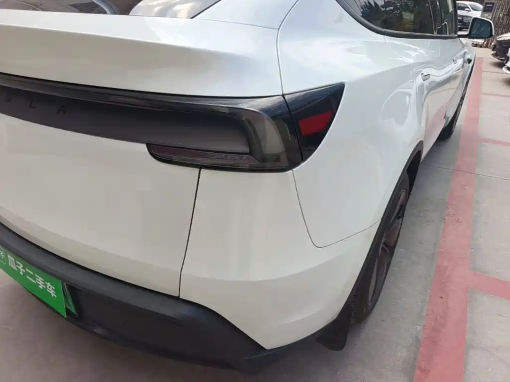 Tesla Model Y — миниатюра 8