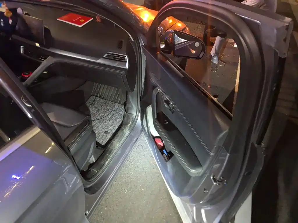 BYD Pro — миниатюра 19