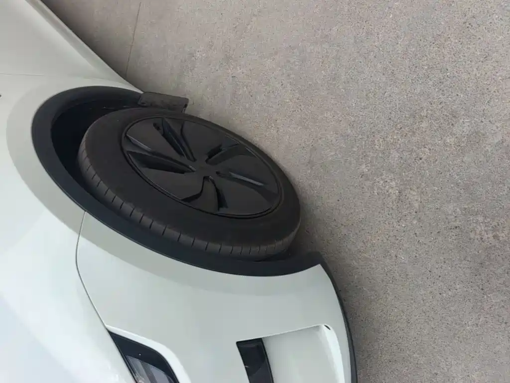 Tesla Model Y — миниатюра 23