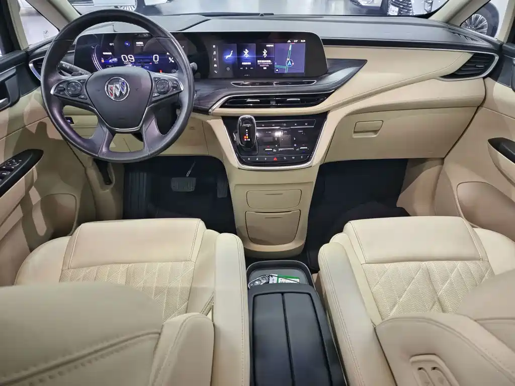 Buick GL8 — миниатюра 12