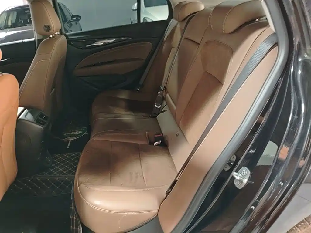 Buick Regal — миниатюра 17