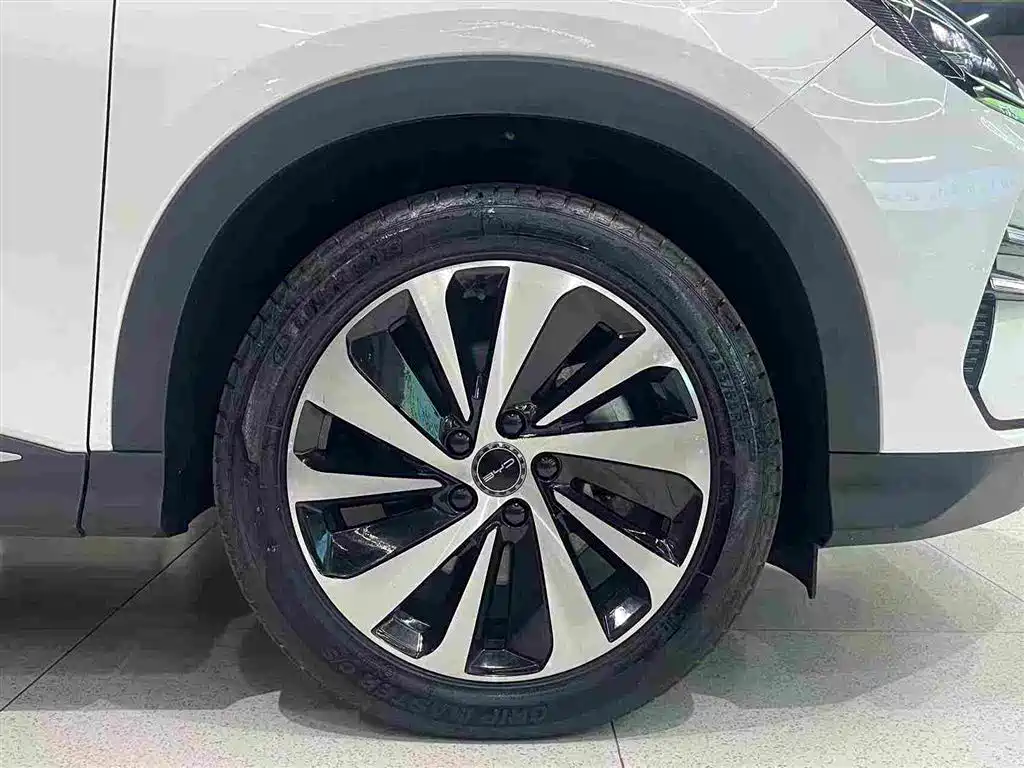 BYD PLUS New Energy — миниатюра 23