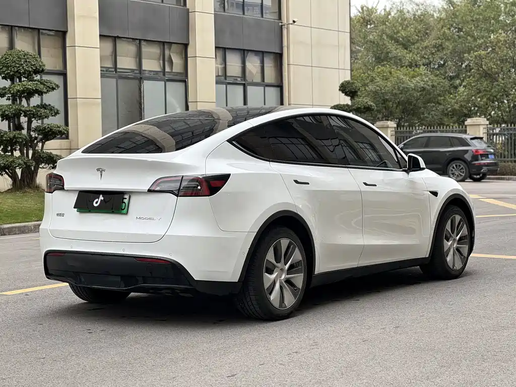 Tesla Model Y — миниатюра 17
