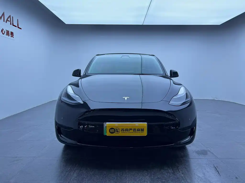 Tesla Model Y — миниатюра 2