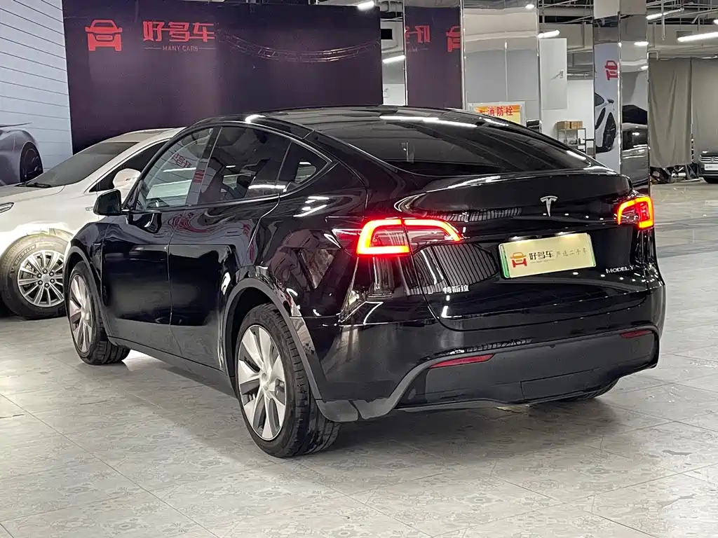 Tesla Model Y — миниатюра 5