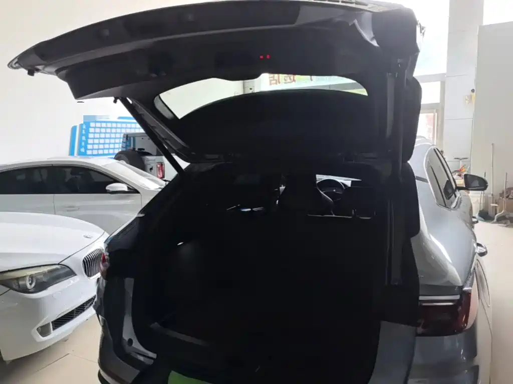 BYD PLUS New Energy — миниатюра 19