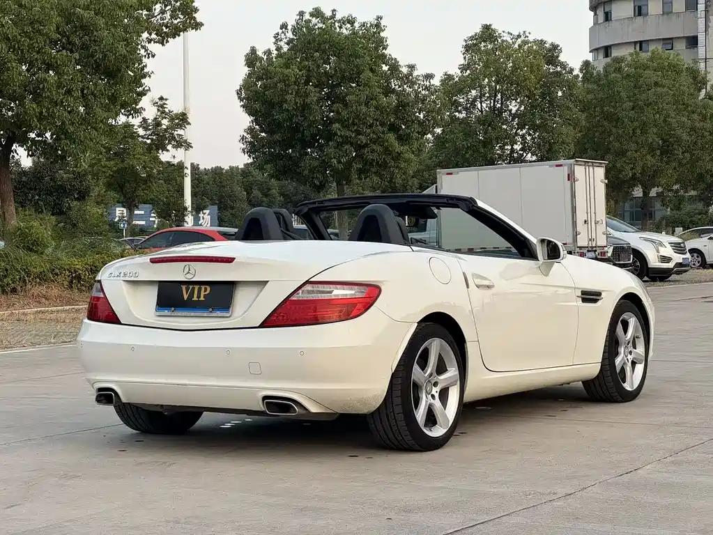 Mercedes-Benz SLK-Class — миниатюра 19