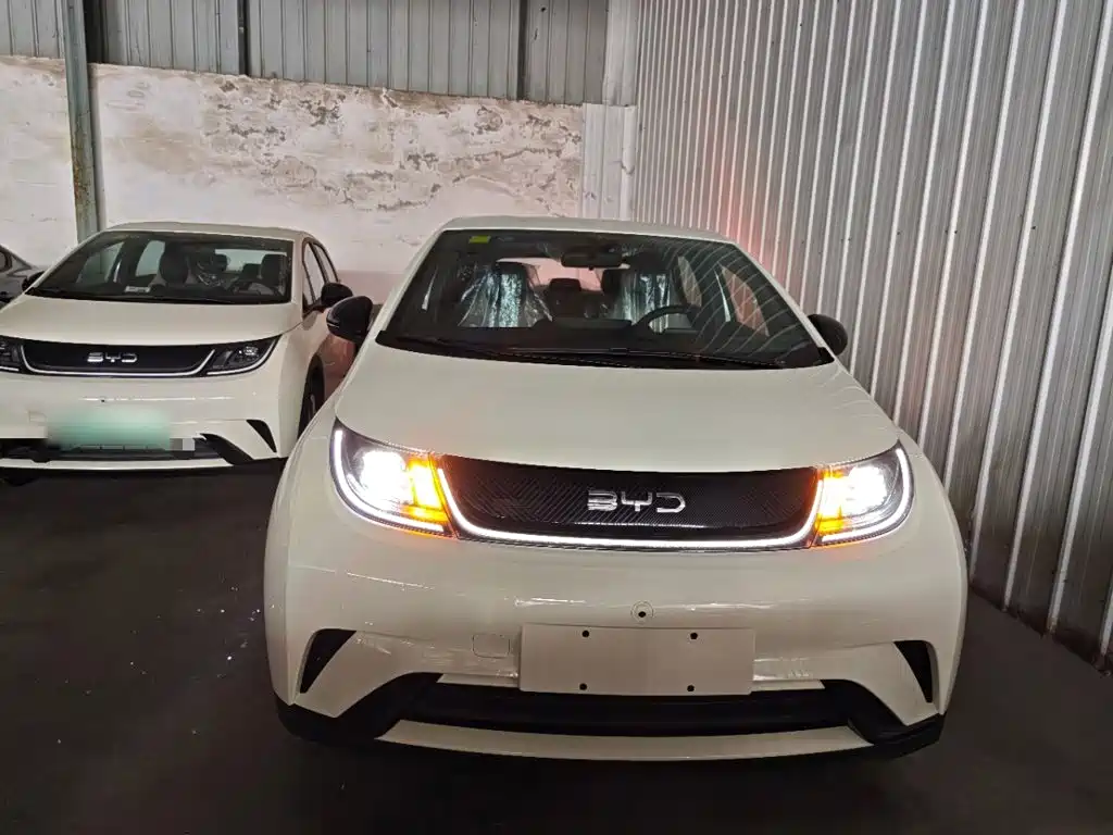 BYD Dolphin — миниатюра 3