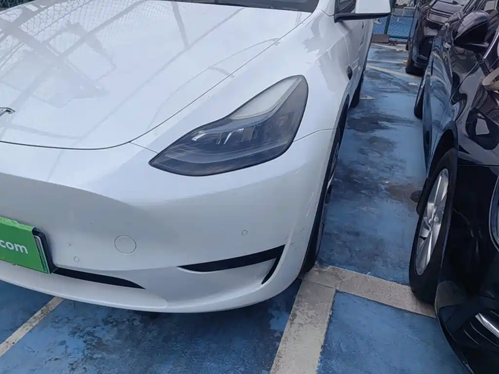Tesla Model Y — миниатюра 24