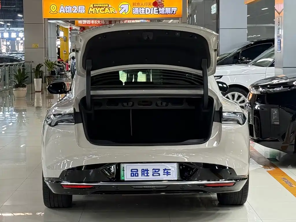 Buick Electra L7 — миниатюра 6